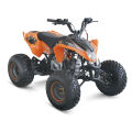 MOTEUR QUAD 150CC ATV BUGGY KIDS DE YINXIANG